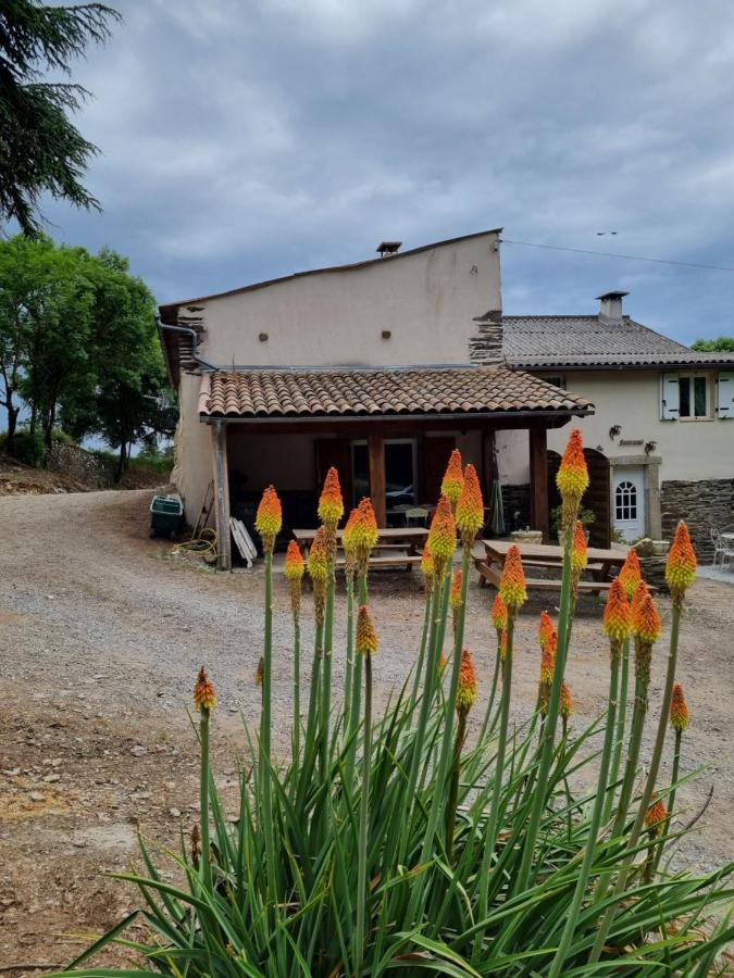 Villa l'Oeil de Carcassonne à Caudebronde Extérieur photo